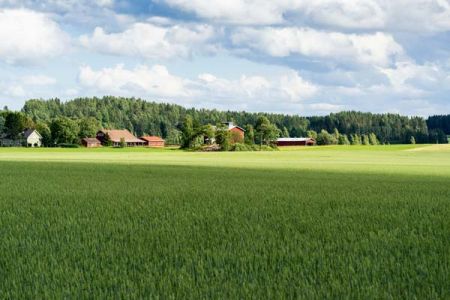 gepflasterte Straße mit parkenden Autos an der Seite
